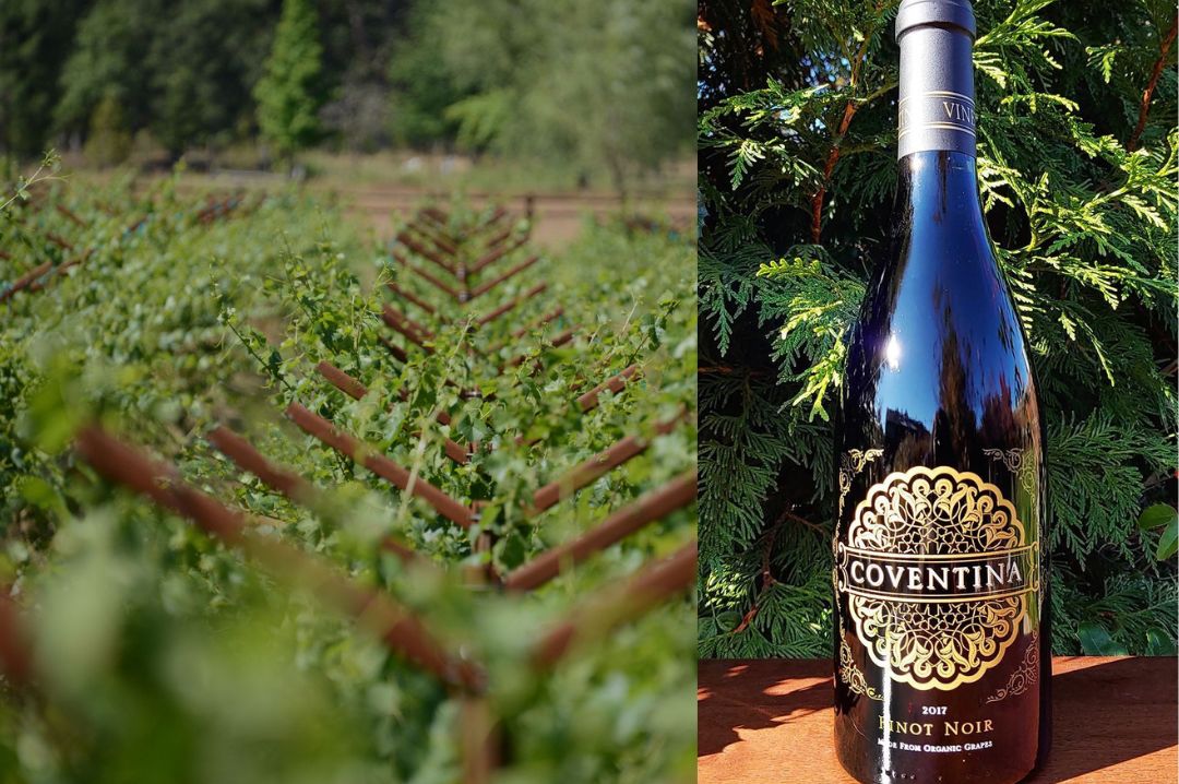 Coventina Vineyards, LLC Coventina Vineyards, LLC